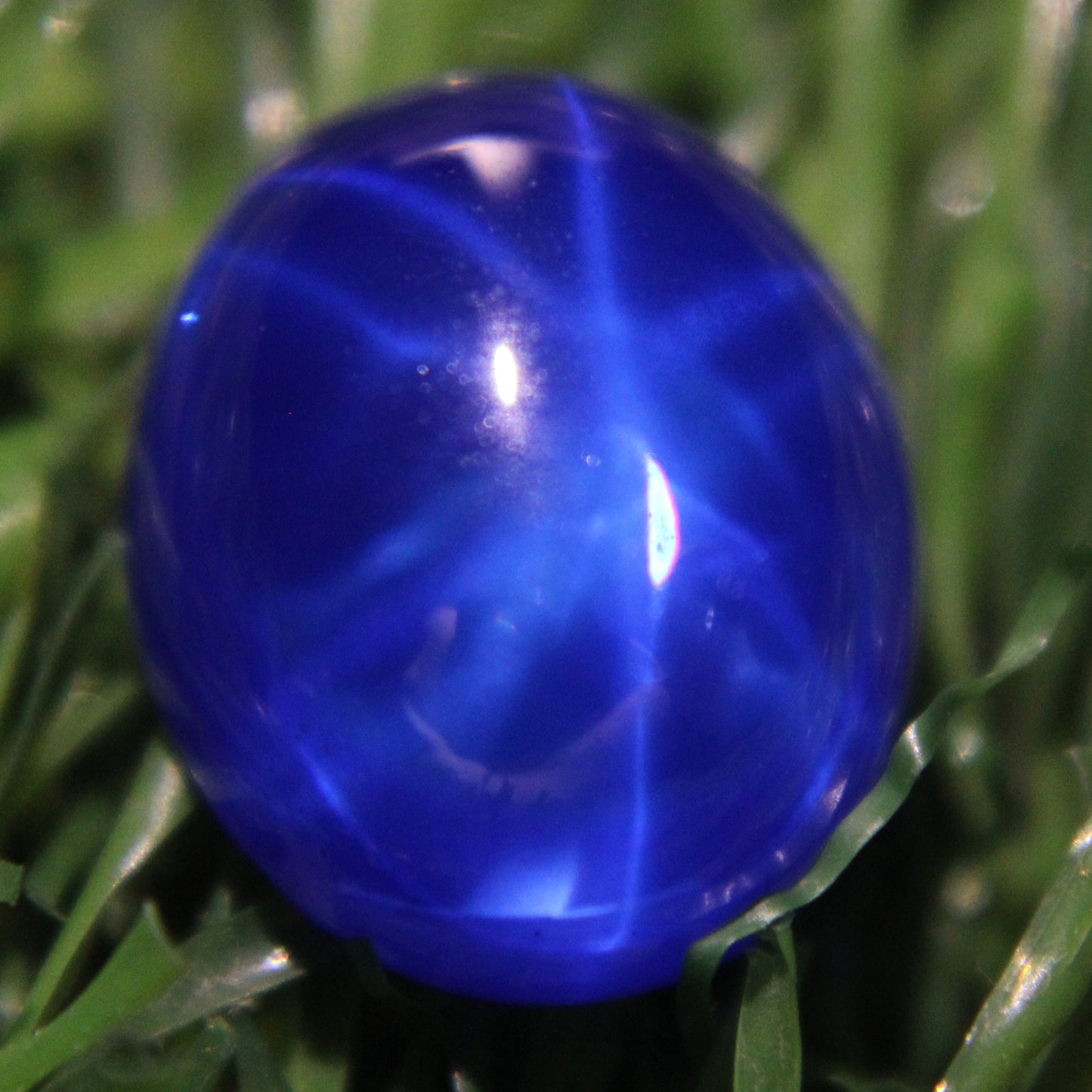 8.10 Ct 6 Rays Star Blue Sapphire Loose Gemstone Certified