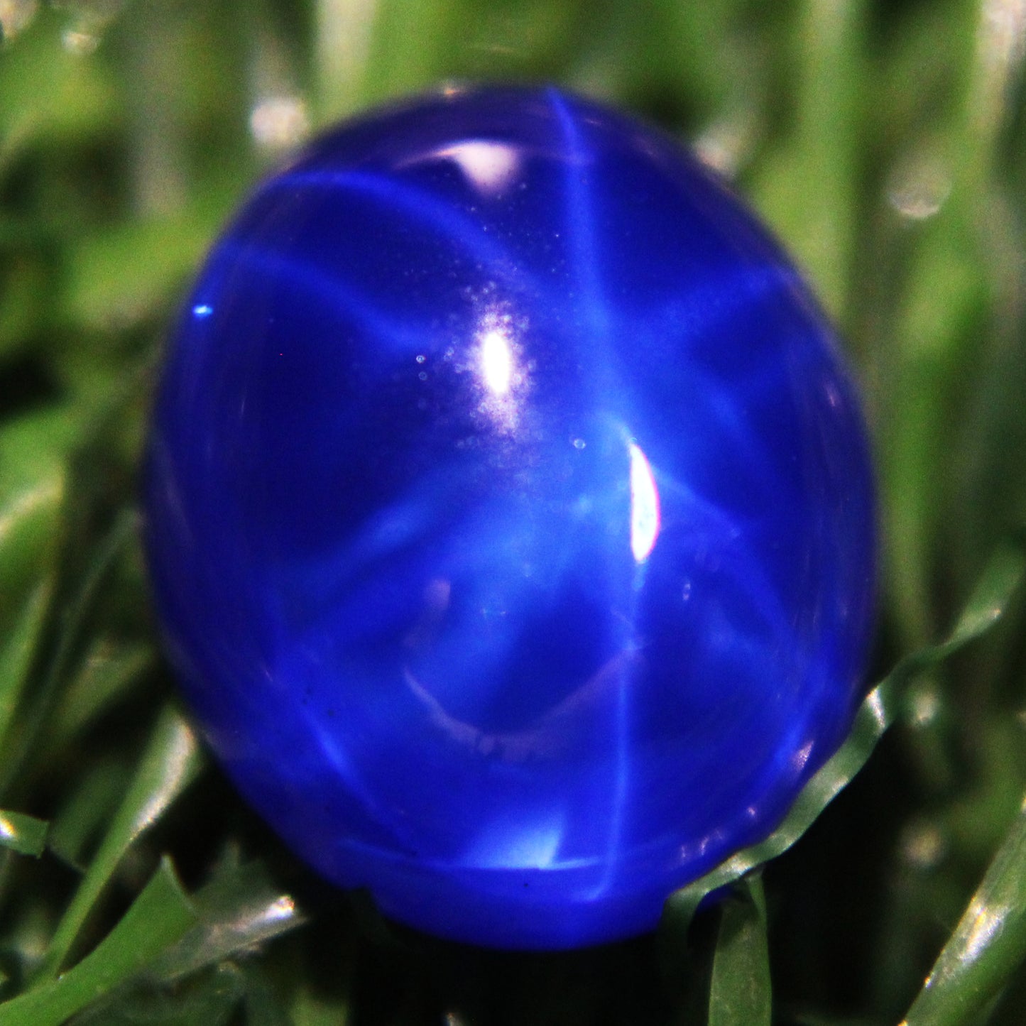 8.10 Ct 6 Rays Star Blue Sapphire Loose Gemstone Certified