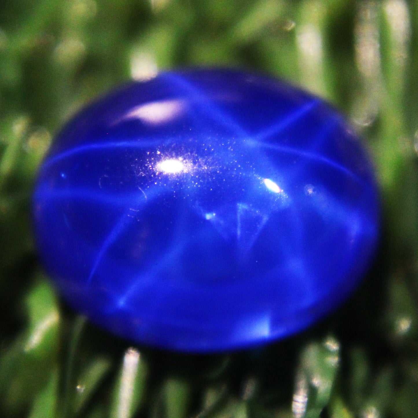 8.10 Ct 6 Rays Star Blue Sapphire Loose Gemstone Certified